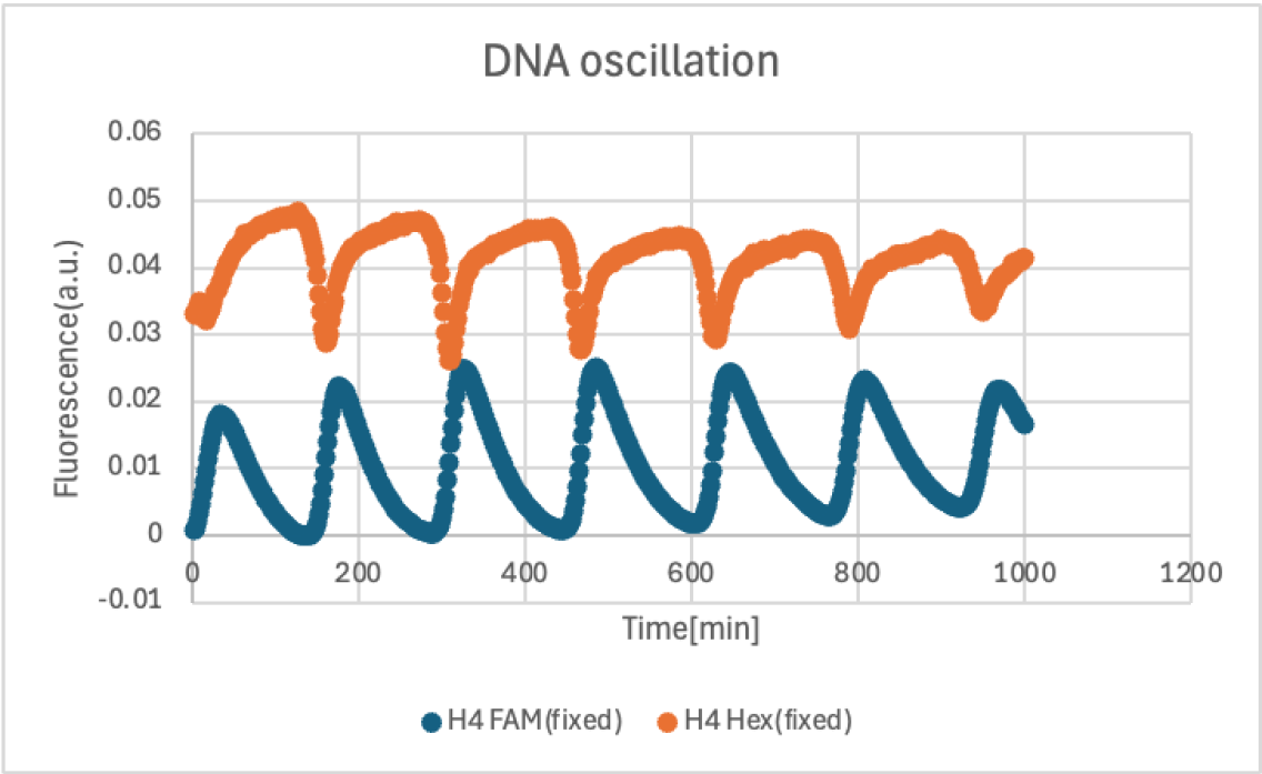 DNA Oscillation Graph