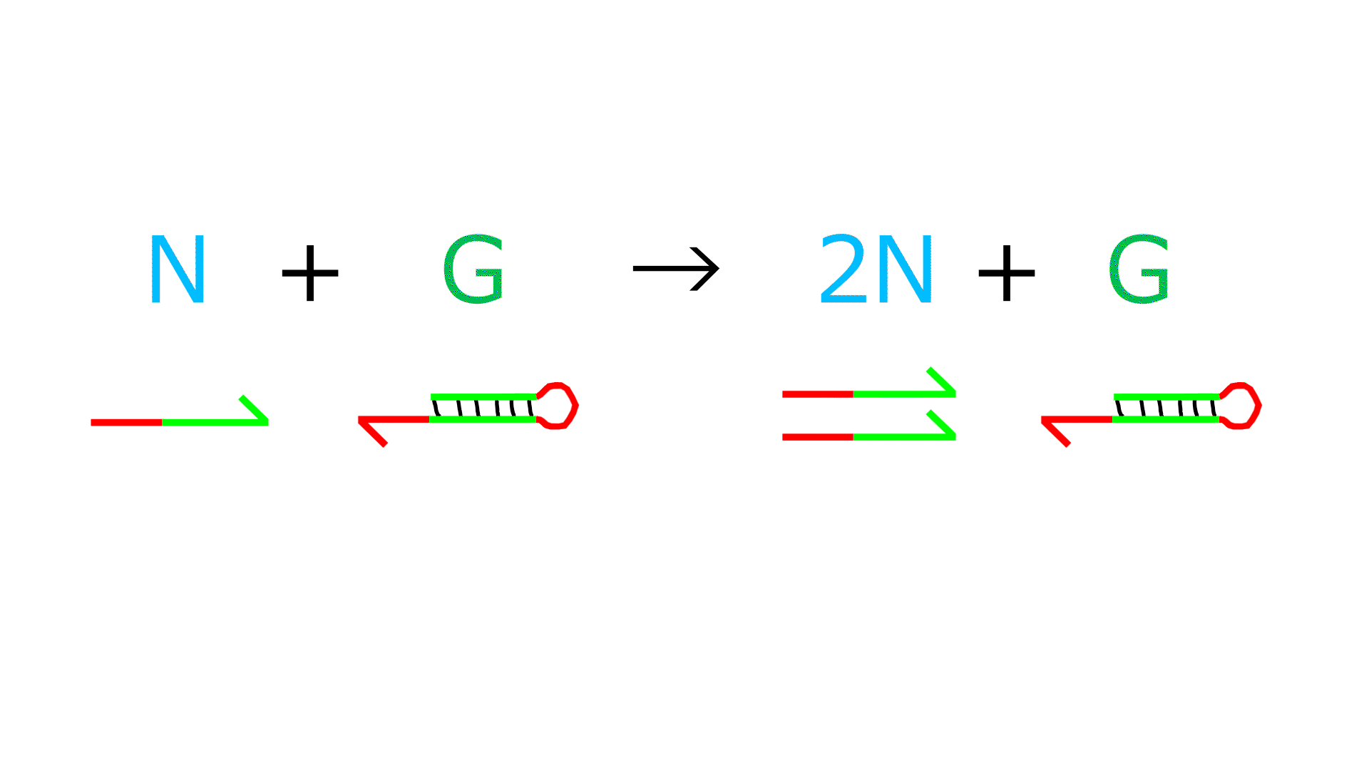 Reaction 1 Diagram