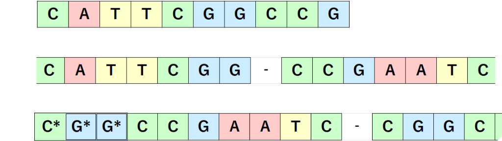 DNA Sequence Diagram
