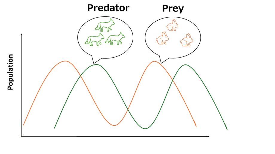 Predator Prey Graph