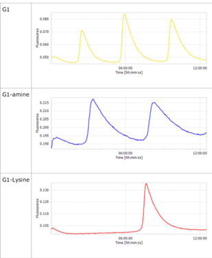 Experiment 4-1 figure 2